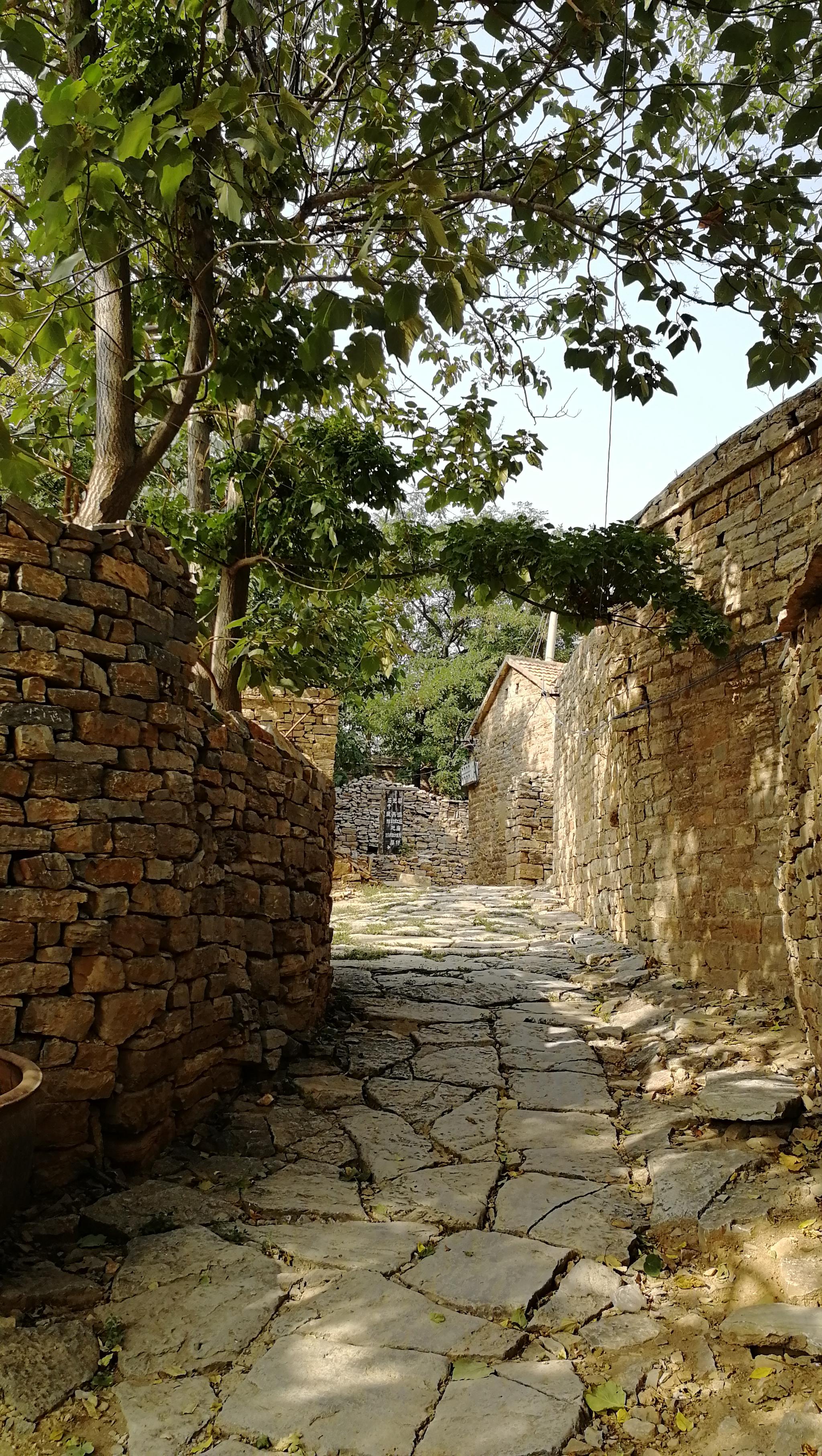 肥城五埠村渐成摄影师及网红打卡地