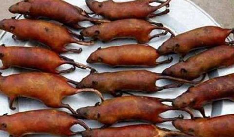 让人难以下咽的奇葩烧烤,中国烧烤人士看了"自叹不如"|烧烤|奇葩|老鼠