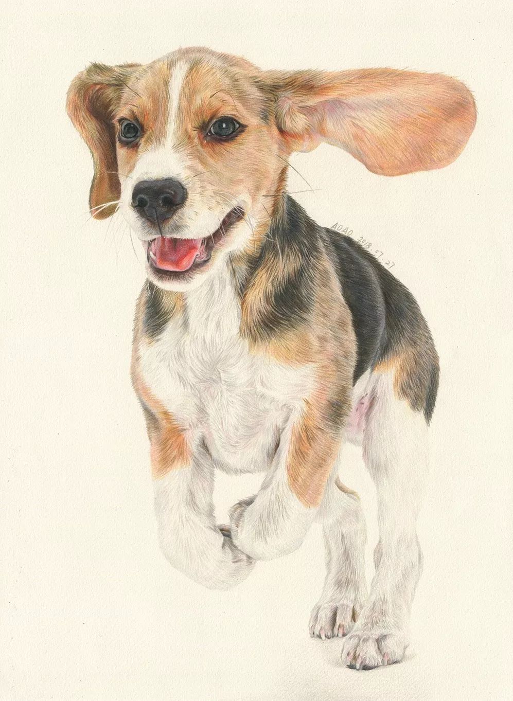 萌宠彩铅插画10节课报名啦最心动的彩铅萌物技法课程