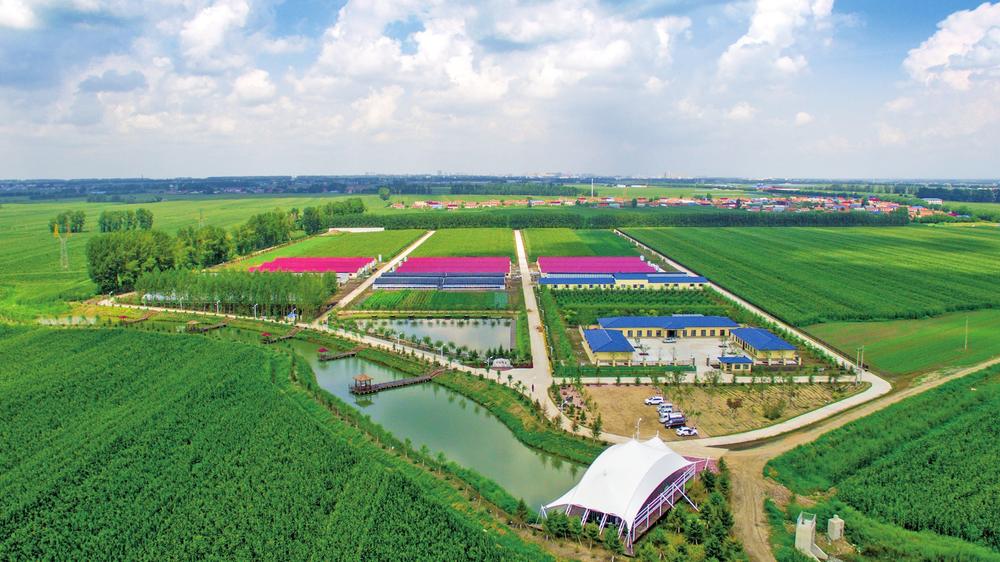 德惠绘就振兴发展人民幸福新画卷