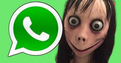 新蓝鲸死亡游戏momo全球扩散已有12岁女孩自杀