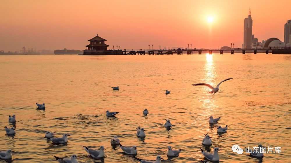 青岛:碧海蓝天 伴我翱翔|浪峰|白浪|图片库_新浪新闻