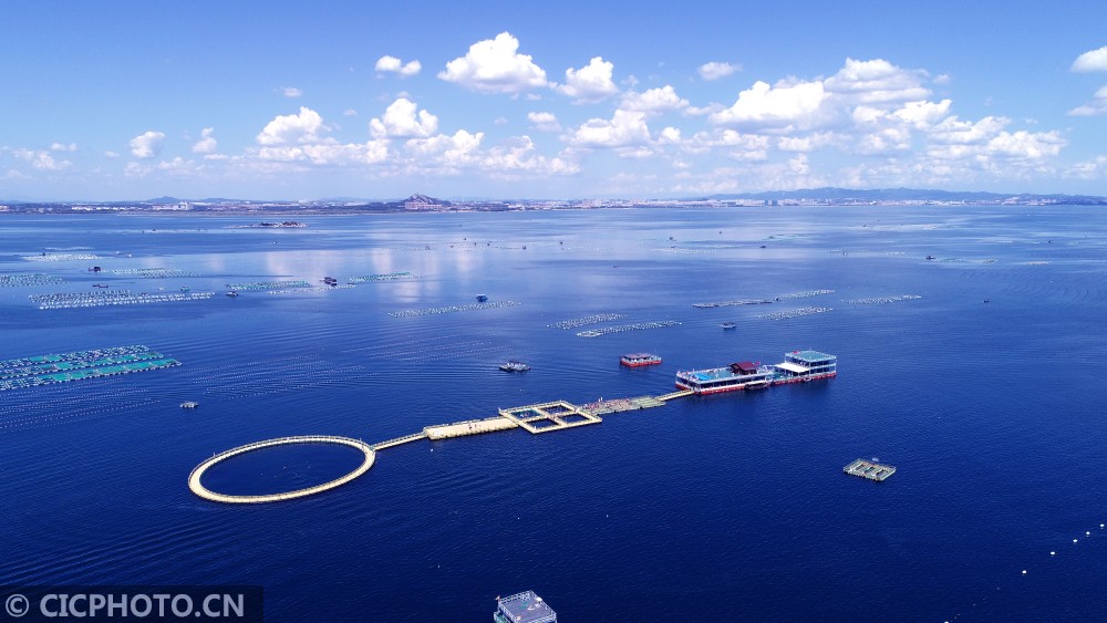 航拍山东荣成桑沟湾海洋牧场