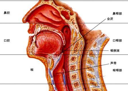 坚持让"无喉人"找到组织以往浙江"无喉人"要往返跑北上广等地去找发声