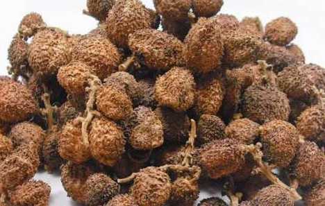 广东特有的这种杨梅你见过没?它可是准妈妈们的"孕期平安福"