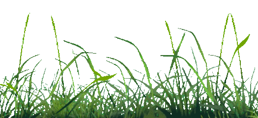 草长莺飞春分至 阴阳相半寒暑平