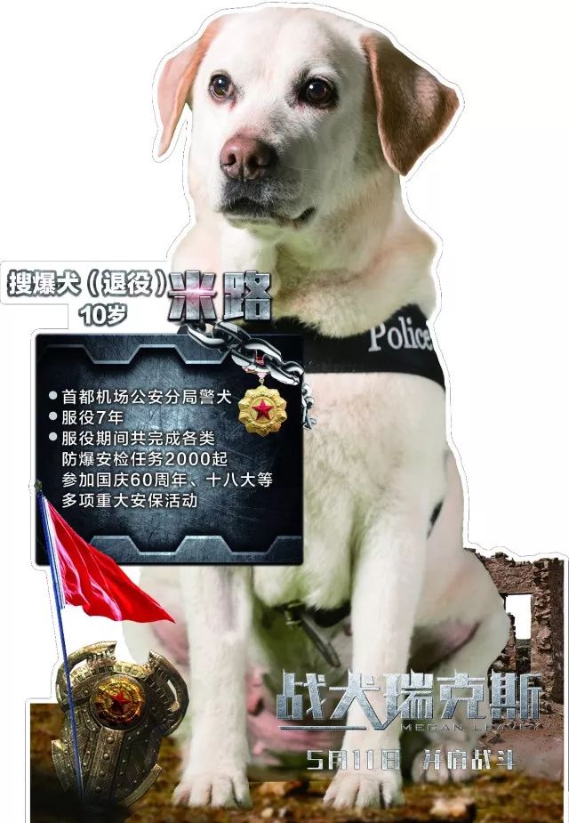 【970爱上电影】拿好,这是你的电影票|战犬瑞克斯|瑞克斯|军犬_新浪