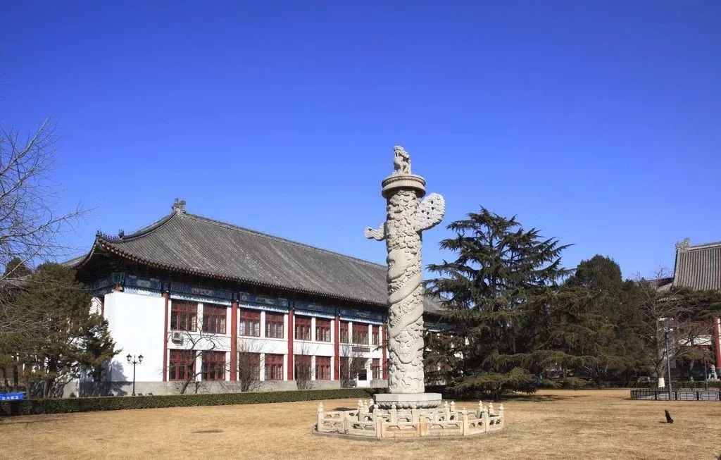 北大人,和你想象的不一样|北京大学|燕园|北大_新浪新闻