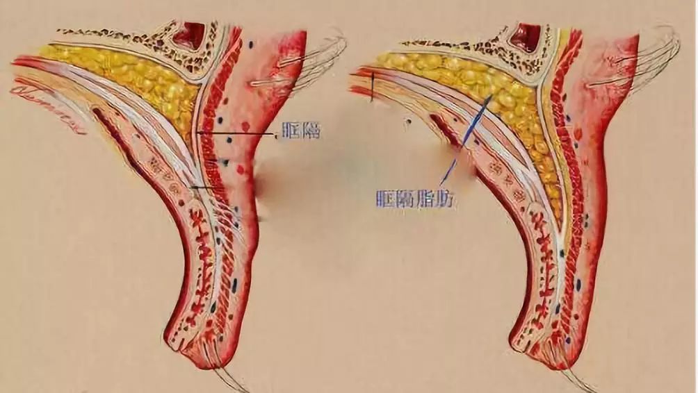赵丽颖新剧被嘲老十岁,婚后自拍居然还撞脸谢娜?