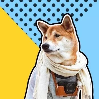 超无敌可爱犬系男星top10!这些小哥哥比小狗狗要可爱一百倍!