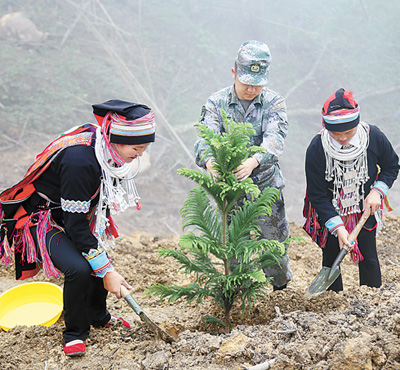 11月16日，当地少数民族群众与扫雷官兵在已扫雷场植树留念。虎遵会摄