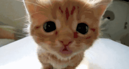 500_270gif 动态图 动图