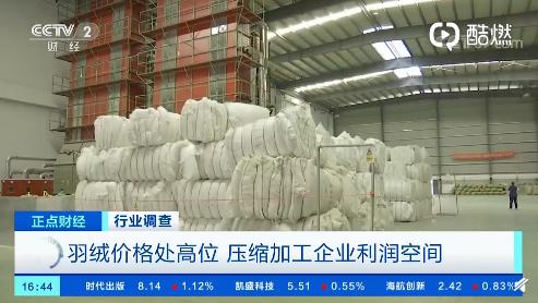 羽绒原料价格：市场格局与未来趋势