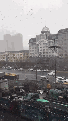 你那里下了吗?|哈尔滨|多云|降水_新浪新闻