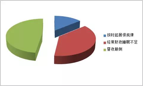 研究报告