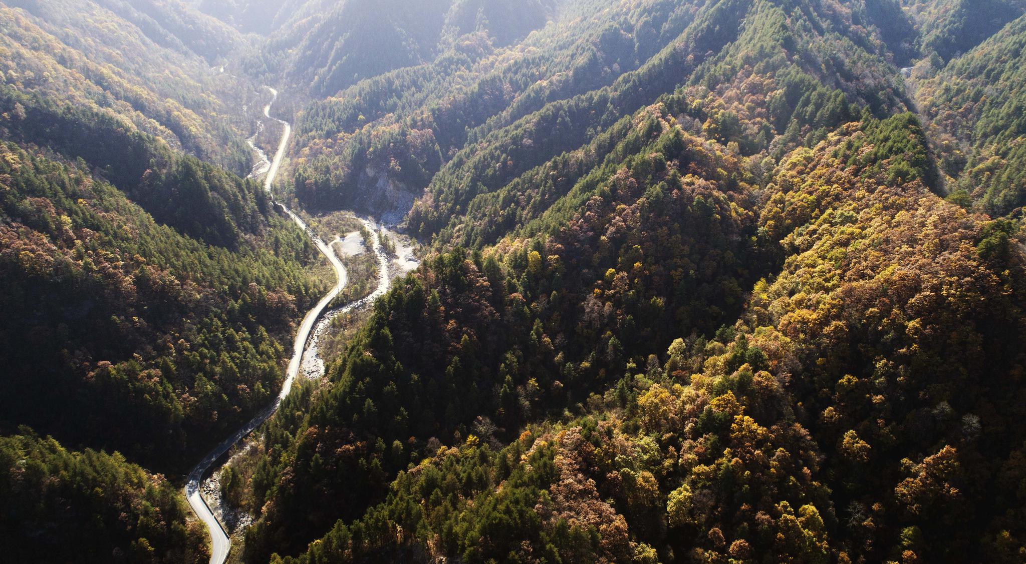深秋时节,秦岭深处五彩斑斓,秋色绚烂.