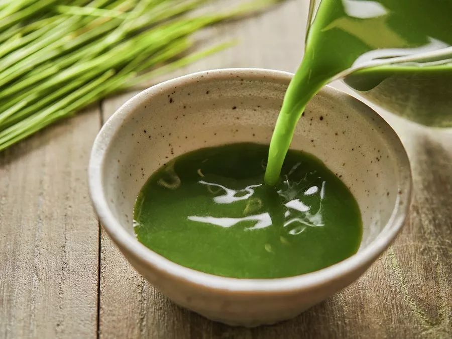 麦草做的青汁真有那么神奇