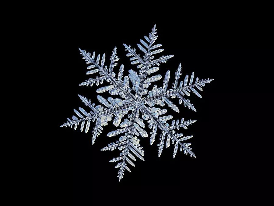 【惊艳】他用8个冬天拍下雪花的样子,世界上没有两片完全相同的雪花