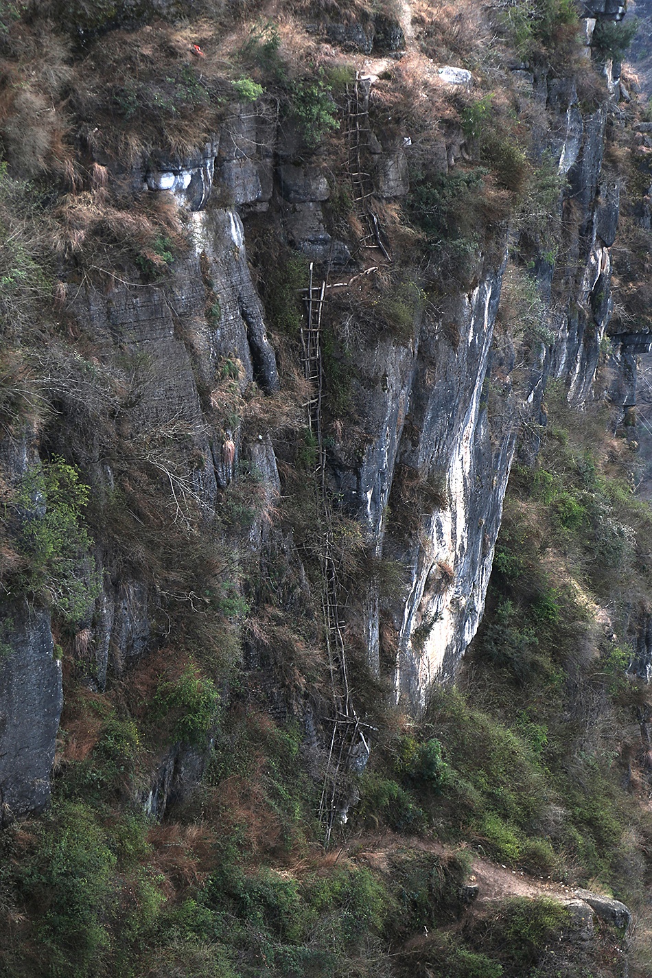 大凉山悬崖村全景图片图片