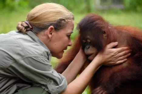 网友怒了印尼猩猩被囚禁虐待6年充当性奴每天化妆喷香水