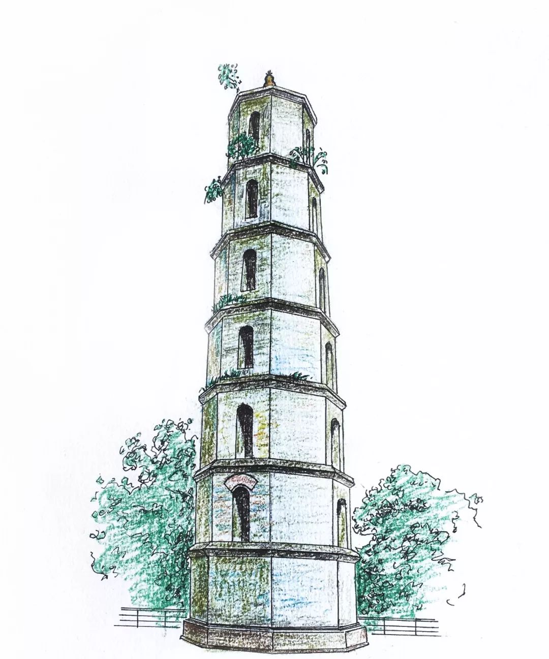 "hello,茂名"④|高州|缅茄|笔架山_新浪新闻