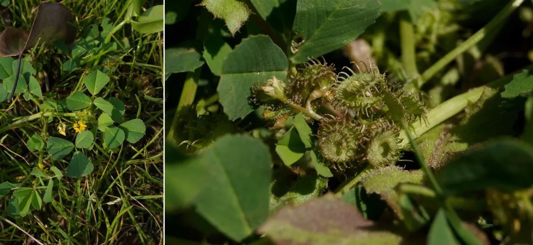 准备好来一场五彩斑斓的告别了吗