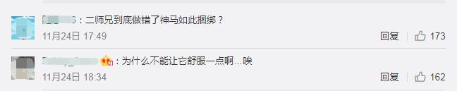 “一字马猪”火了！车主回应：是亲家的要求