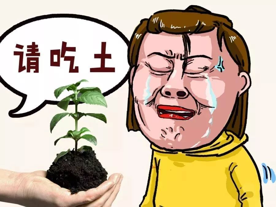 二胎妈妈坚持记账7年,这不是养娃,这是养了台碎钞机!