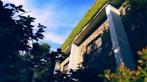 山东轻工职业学院国际时尚设计学院邀请清华大学美术学院李薇教授来校交流
