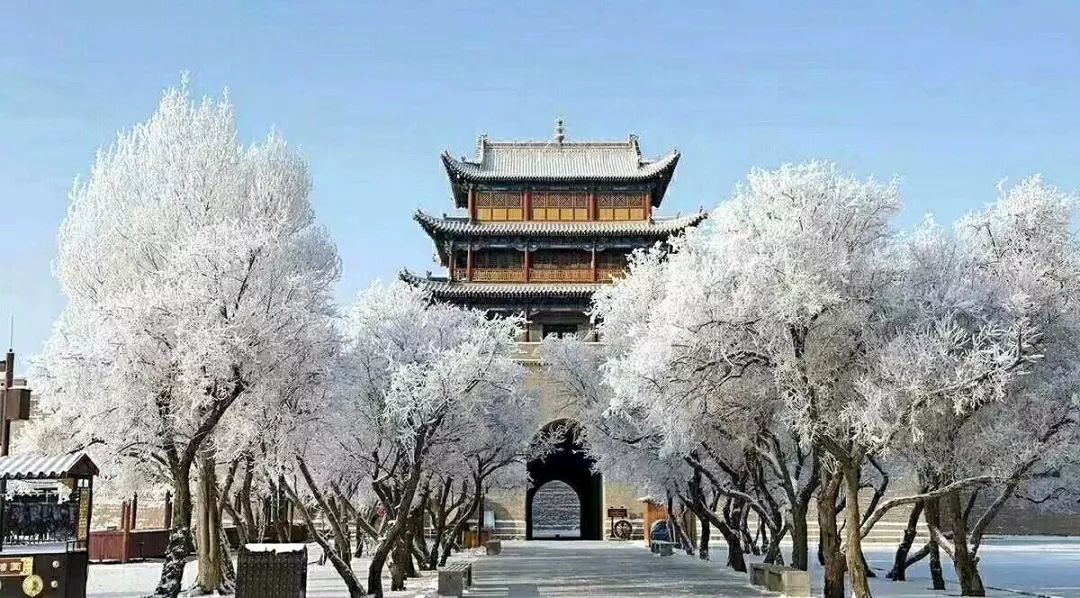 甘肃持续降雪遍现"冰雪盛宴" 多地气温创50年新低|甘肃|降雪|兰州