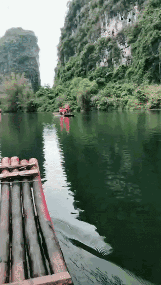 318_560竖版 竖屏gif 动态图 动图