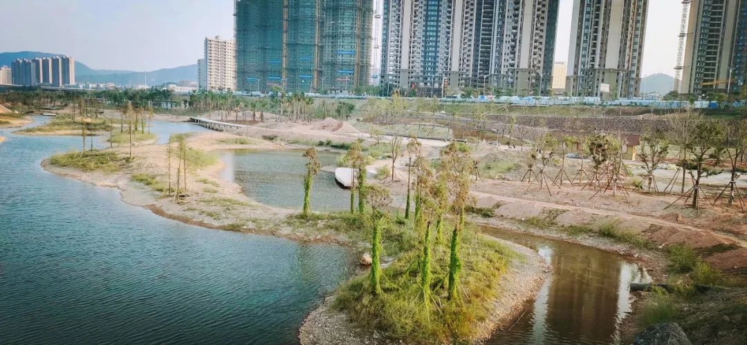 南安这个超大湿地公园将在年底完工,人工湖,观鸟台,水中栈道先睹为快!