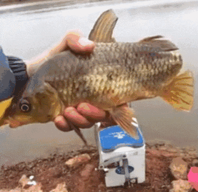 396_384gif 动态图 动图