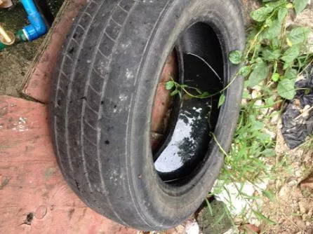 清除可积水的容器,如放在户外,阳台,天台的废弃花盆,轮胎等.