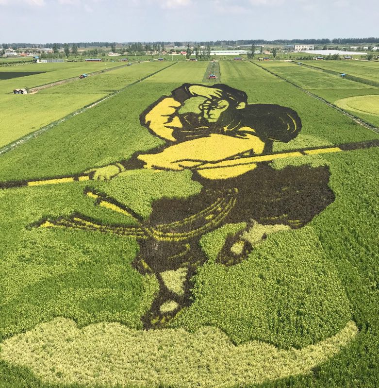 全域旅游让宁夏旅游成支柱沙湖金名片檫得更亮七彩稻田画令人称奇