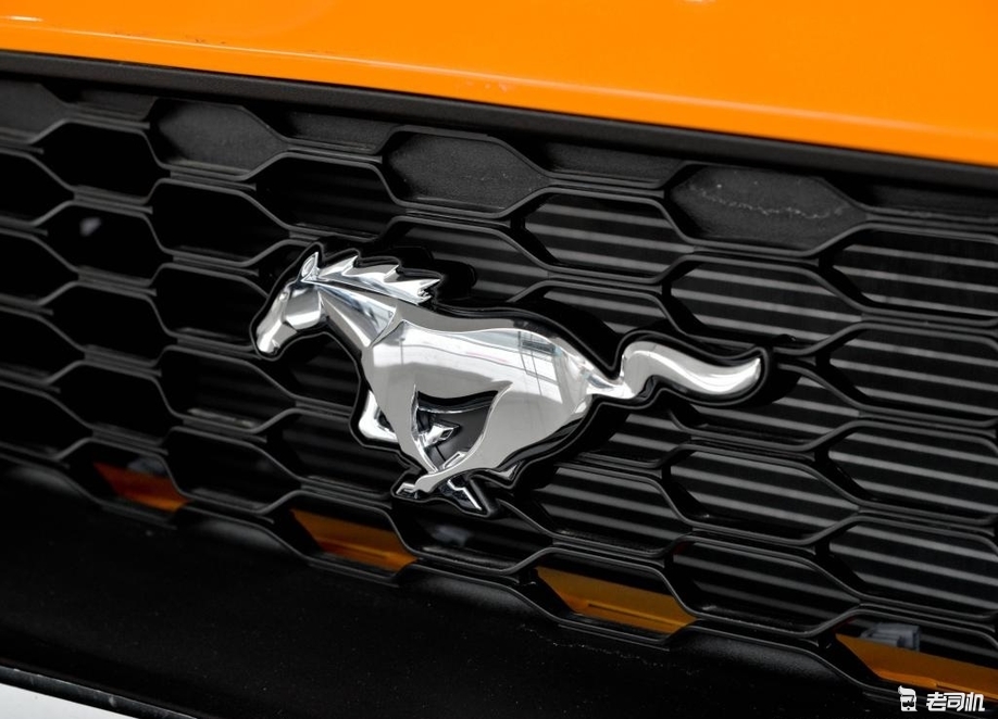 店实拍」爱上一匹"mustang"可家里没有草原 这让我感到悲伤-新浪汽车