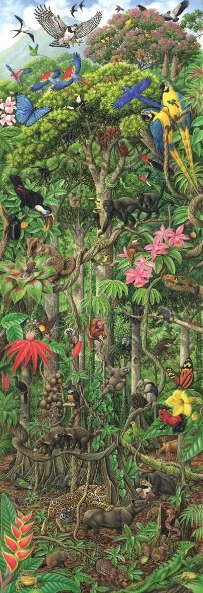 全景手绘大自然,40个生态环境545种动植物,为孩子带来纸上博物之旅!
