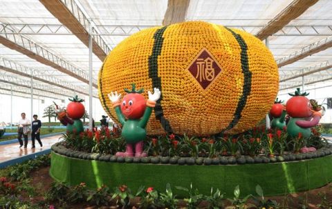 成千上万的蔬菜摆成各种造型,这样的"姜山"你要坐吗?