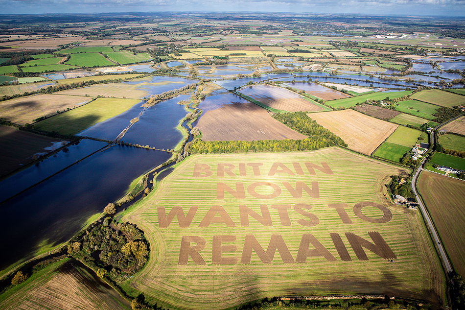  英国反对“脱欧”民众“绘制”巨型稻田画要求留下。  视觉中国 图