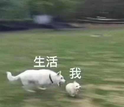 众多大V齐称赞，这个新晋大V不简单！