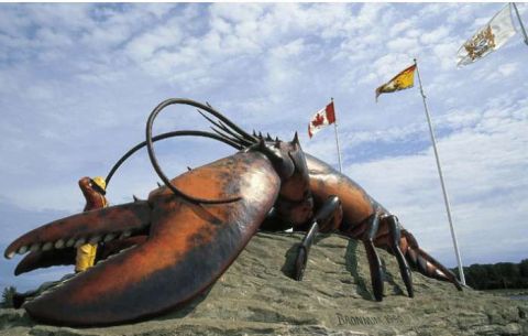 世界上最大的龙虾,体重达40斤可活100岁,钳子比人的胳膊还粗!