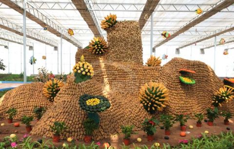 成千上万的蔬菜摆成各种造型,这样的"姜山"你要坐吗?