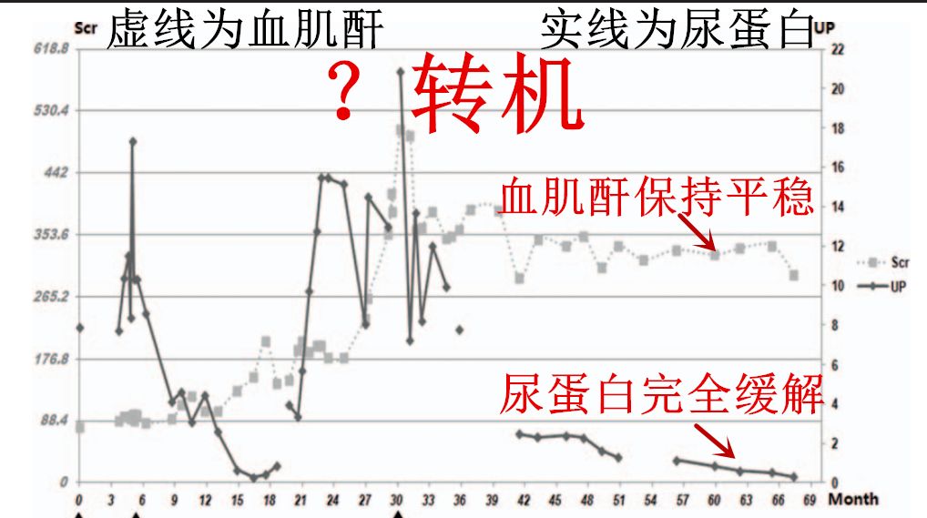 厉害了美罗华治疗膜性肾病的新武器
