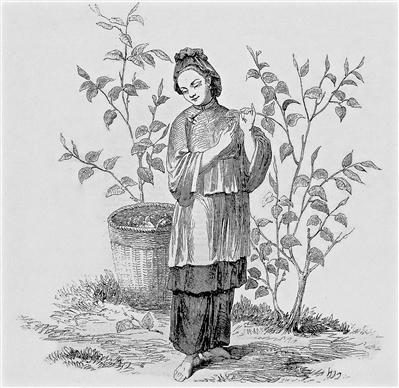英国《伦敦新闻画报》上刊印的插画,描绘了清末茶馆内的景象.
