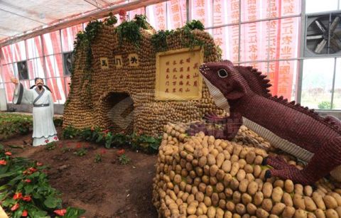 成千上万的蔬菜摆成各种造型,这样的"姜山"你要坐吗?