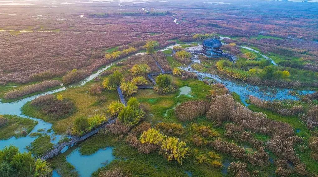 宿迁洪泽湖湿地火啦三位艺术家用一首美丽大湿地献礼洪泽湖速戳