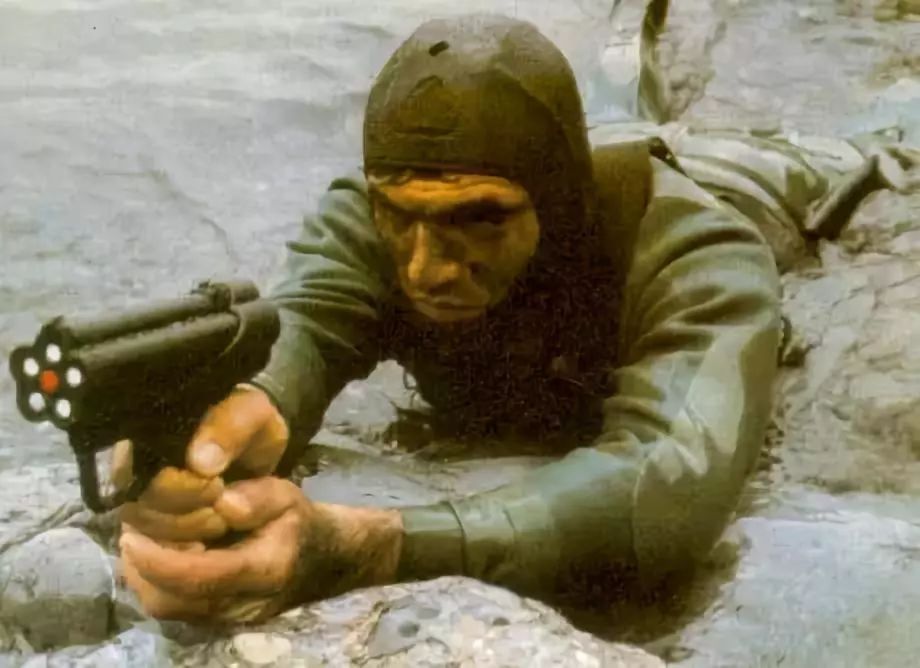 轻武专栏|步枪|蛙人|手枪_新浪新闻