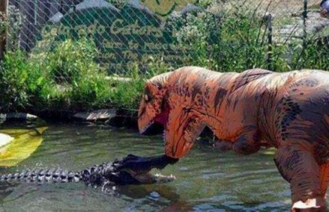 小伙穿恐龙服饰调戏鳄鱼,还走进水中!随后场景令旁人措手不及!