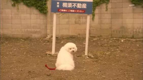 回到医院后，原本美味的饭也吃不下。