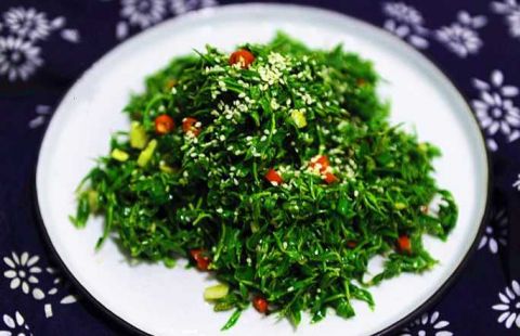 吃过柳芽吗,凉拌就好吃,能清热化痰|柳芽|凉拌|野菜_新浪新闻
